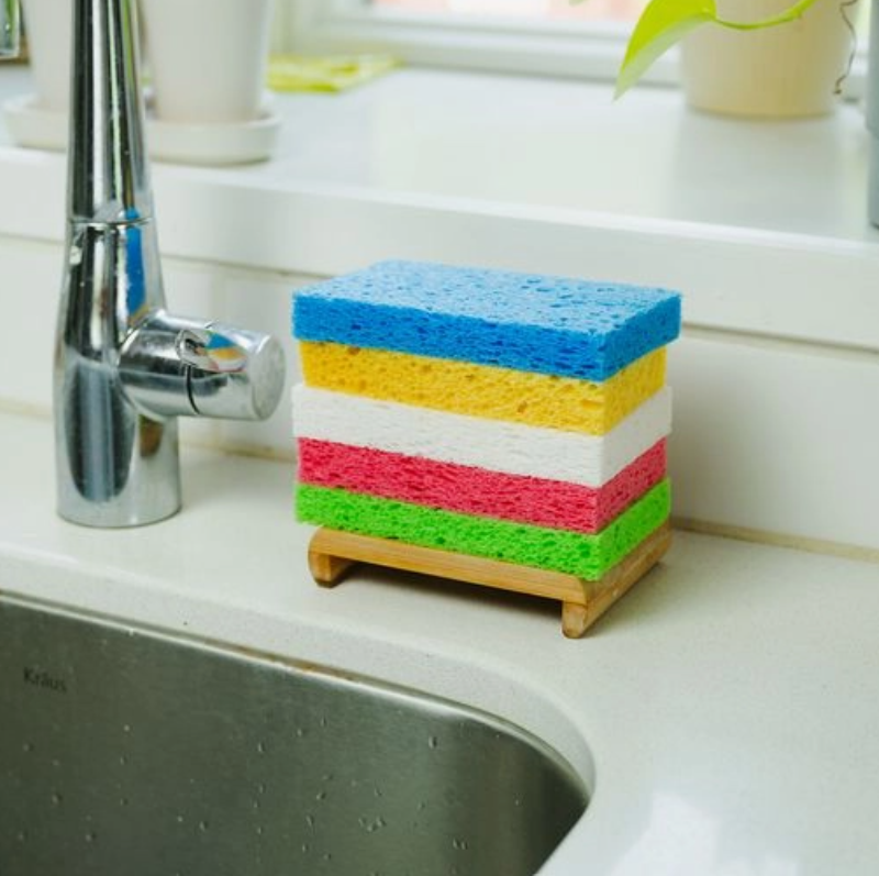 Compostable Sponge