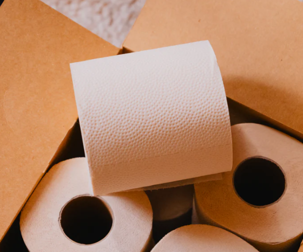 Bamboo Toilet Paper 8-pack