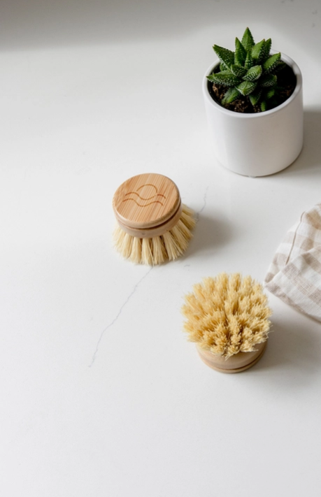 Bamboo Dish Brush Replacement Head