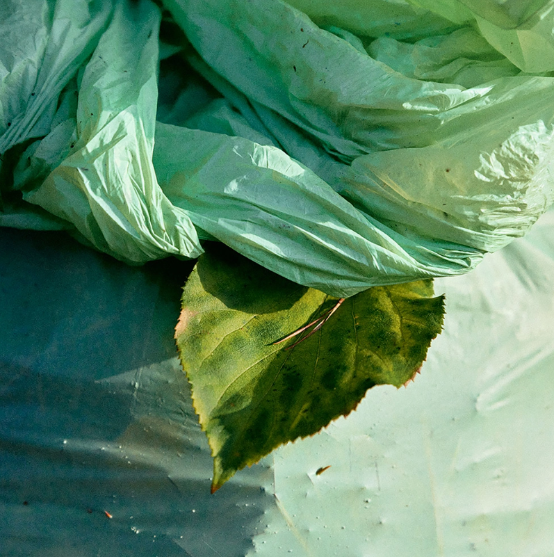 Compostable Lawn & Leaf Bags