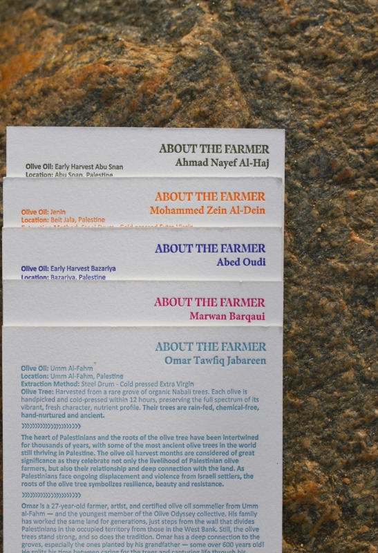 Sensitive Skin Face Lotion YFE X OLIVE ODYSSEY