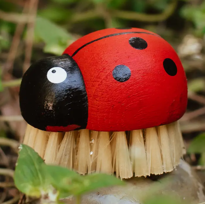 Ladybug Brush