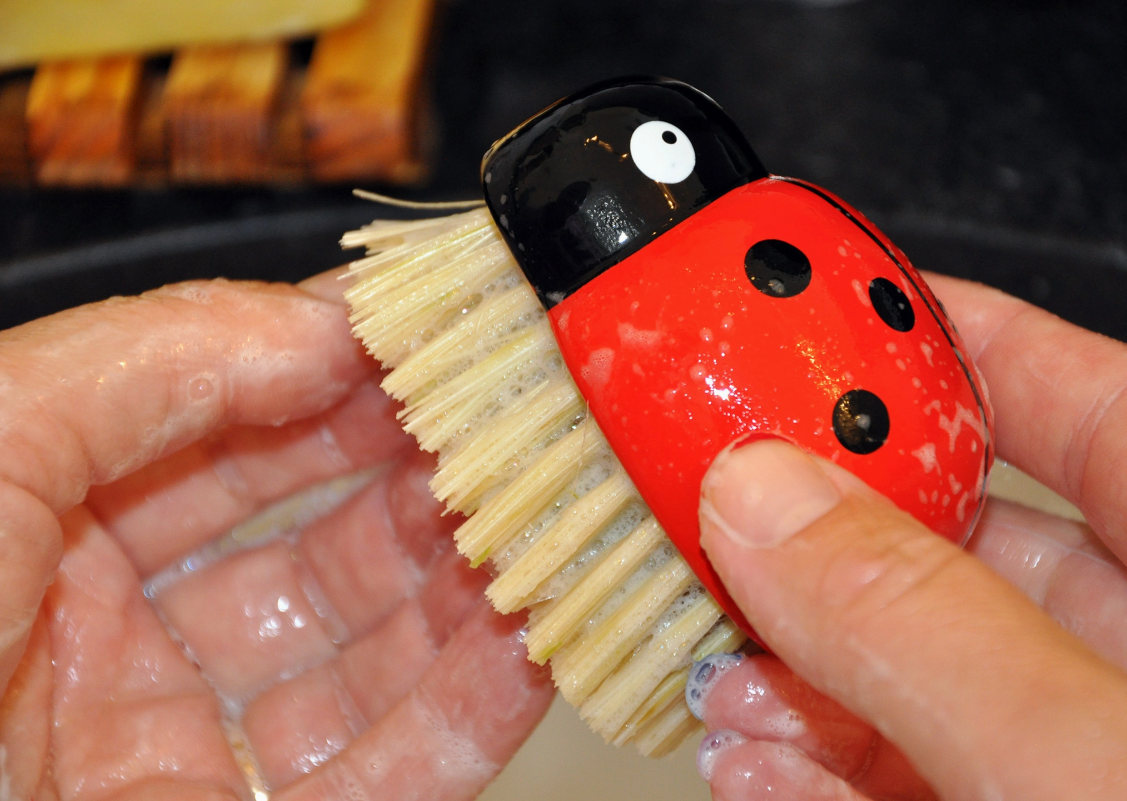 Ladybug Brush