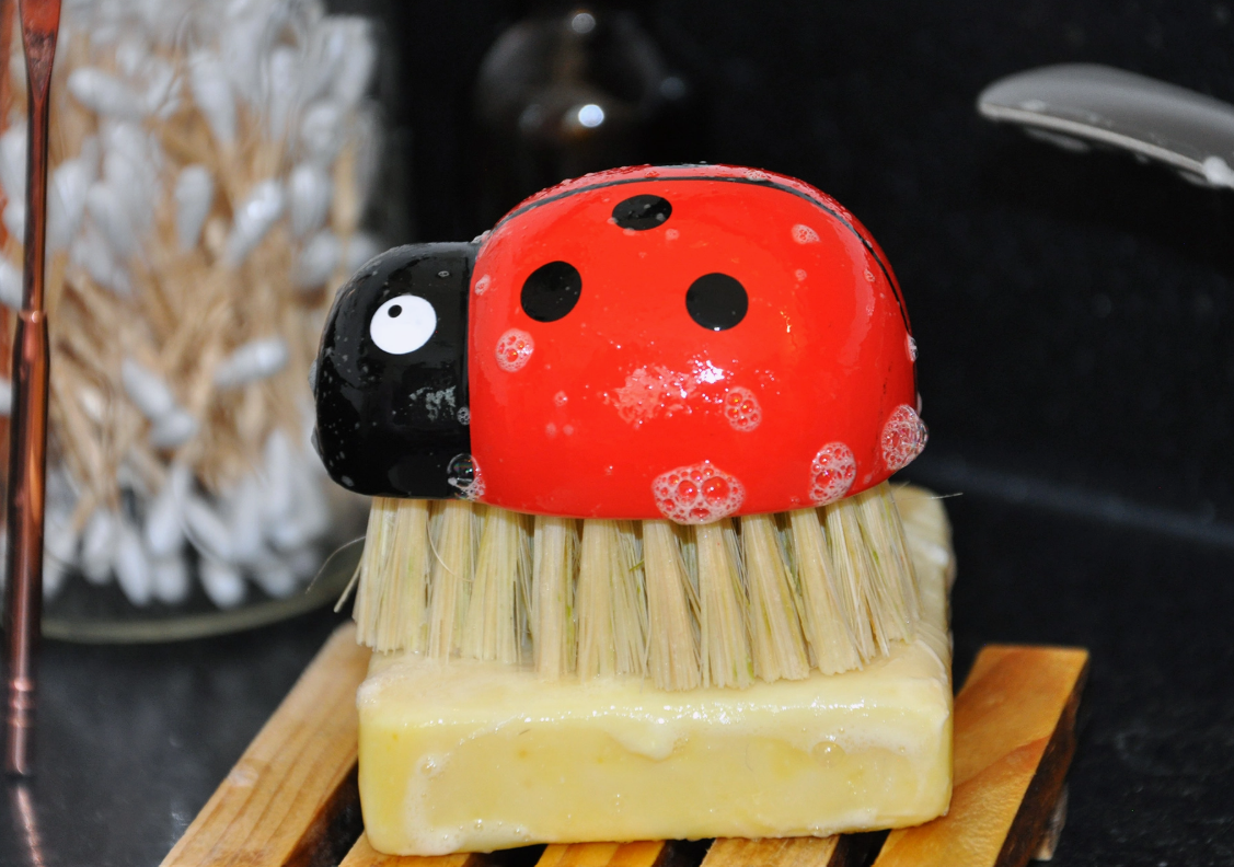 Ladybug Brush