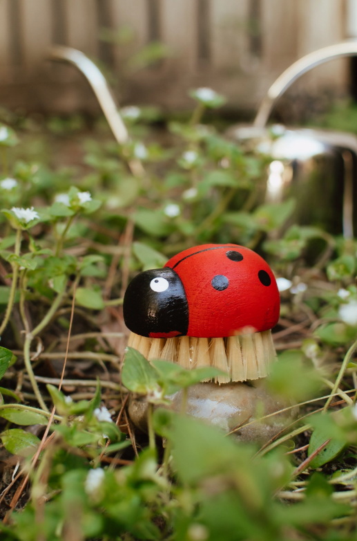 Ladybug Brush