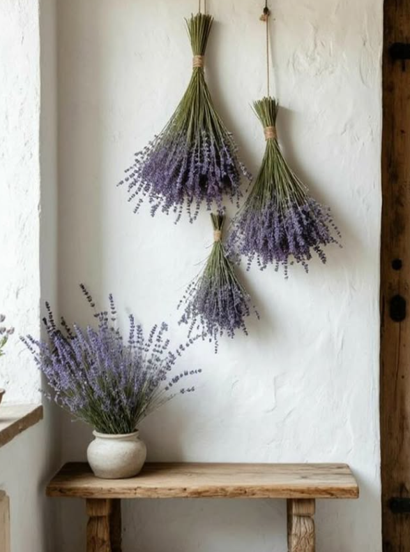 Dried Lavender Bundle