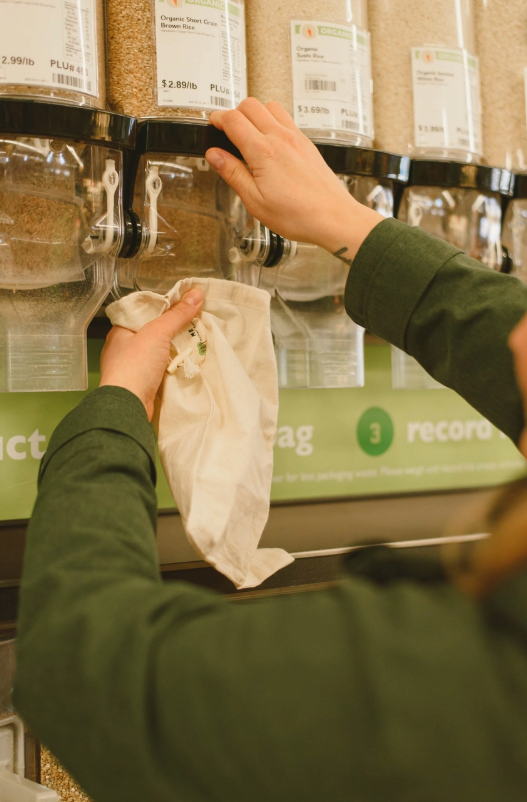 Bulk Bin Shopping Bags
