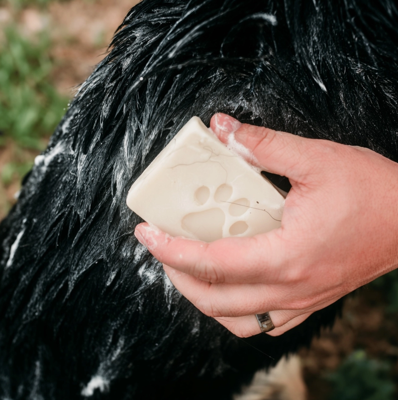 Pet Shampoo Bar