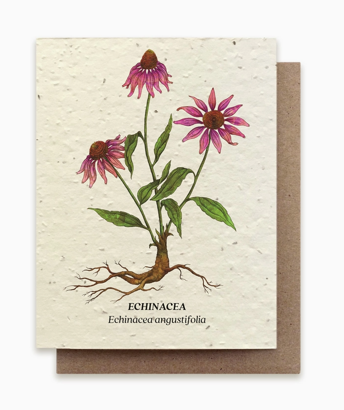 Plantable Seed Card
