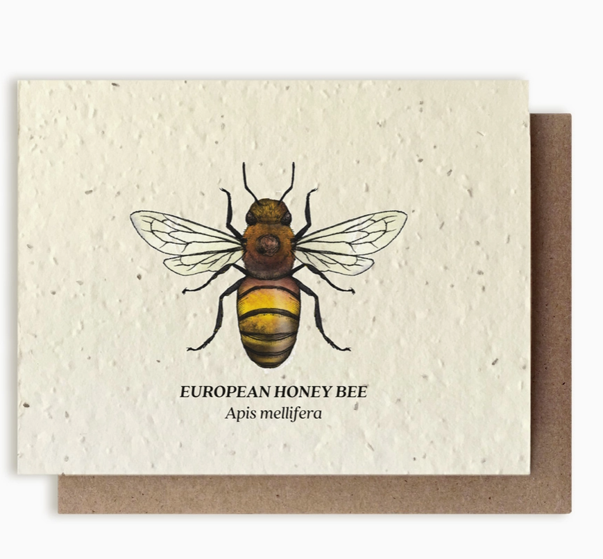 Plantable Seed Card