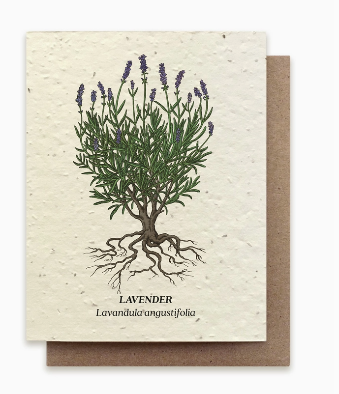 Plantable Seed Card