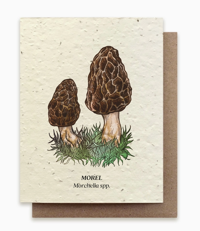 Plantable Seed Card