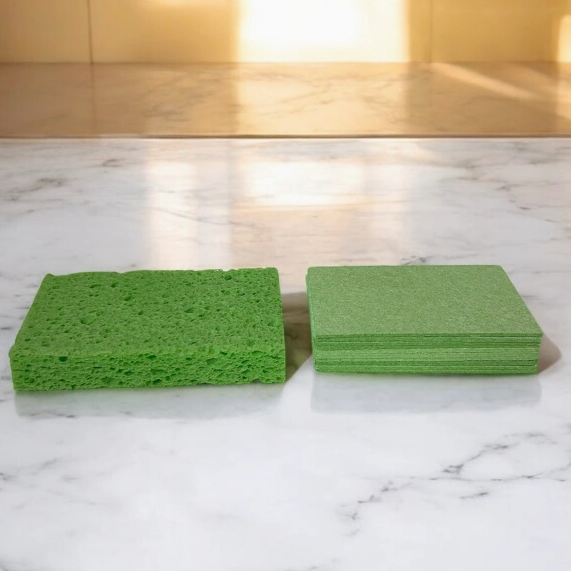 Compostable Sponge