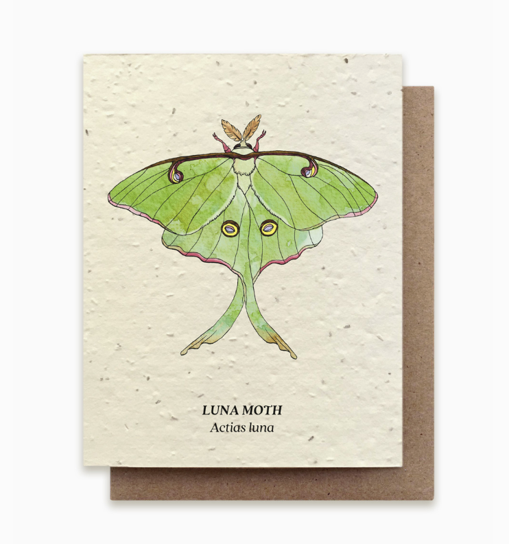 Plantable Seed Card