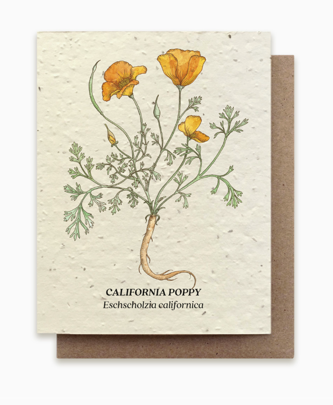 Plantable Seed Card
