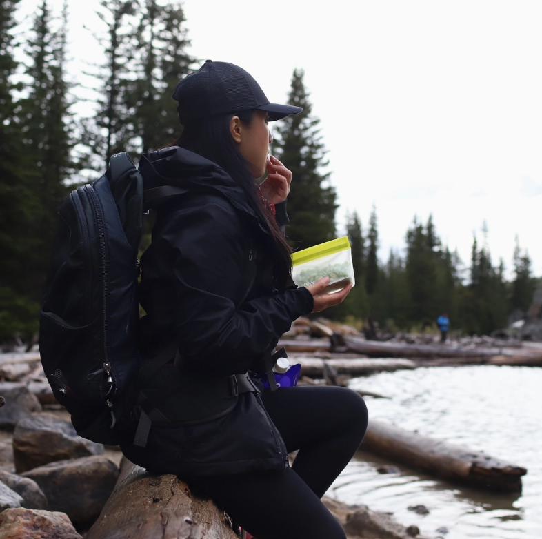 Reusable Stand-Up Storage Bags